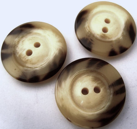 B2381 31mm Creams and Dark Brown Gloss 2 Hole Button