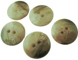 B2599 19mm Tonal Deep Creams-Straw High Gloss 2 Hole Button