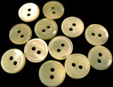 B1509 10mm Tonal Bridal White Real Shell 2 Hole Button - Ribbonmoon