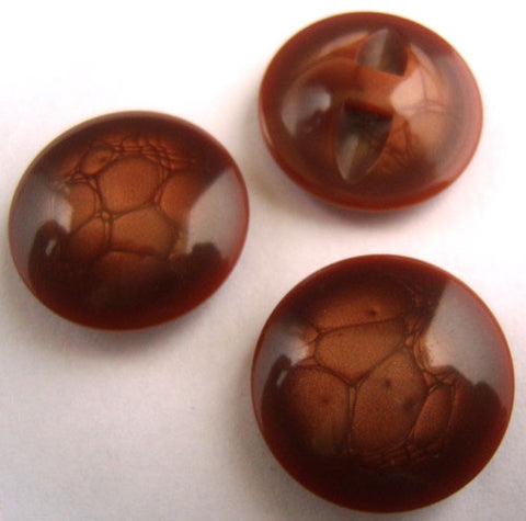 B16720 23mm Tonal Browns Domed Button, Hole Built into the Back - Ribbonmoon