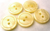 B1677 18mm Tonal Ivory Cream and Iridescent Shimmery 2 Hole Button - Ribbonmoon