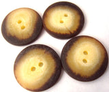 B1951 23mm Creams and Dark Brown Matt Bone Sheen 2 Hole Button - Ribbonmoon