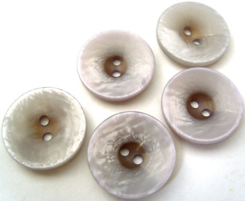 B2463 20mm Dusky Orchid and Beige Shimmery 2 Hole Button