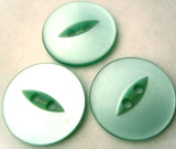 B4091 23mm Dusky Aqua 2 Hole Polyester Fish Eye Button - Ribbonmoon