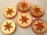 B4324 15mm Apricot Polyester Star 2 Hole Button - Ribbonmoon