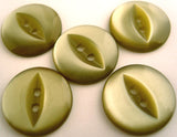 B8730 14mm Pale Sage Green 2 Hole Polyester Fish Eye Button - Ribbonmoon