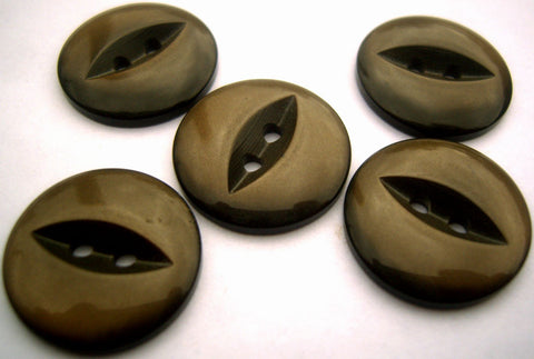 B9197 19mm Misty Dark Brown 2 Hole Polyester Fish Eye Button - Ribbonmoon