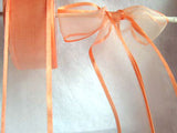 R1590 41mm Apricot Sheer Ribbon with Satin Borders - Ribbonmoon