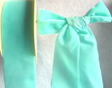 R2679 51mm New Turquoise Nylon Velvet Ribbon by Berisfords - Ribbonmoon