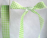 R3989 25mm Spring Green and White Taffeta Gingham Ribbon - Ribbonmoon