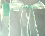 R4217 28mm Aqua Sheer Ribbon with Satin Borders - Ribbonmoon