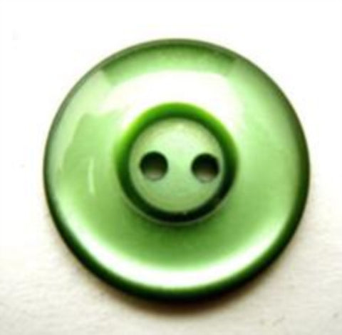 B11207 19mm Bottle Green Polyester 2 Hole Button - Ribbonmoon