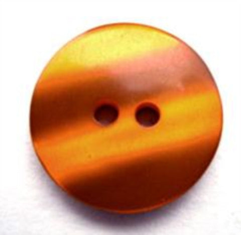 B12816 19mm Tonal Golden Brown Pearlised Polyester 2 Hoe Button - Ribbonmoon