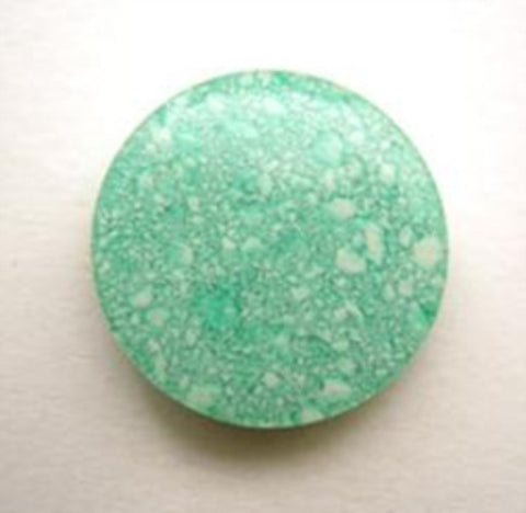 B14351 19mm Parakeet and Spearmint Shank Button under Clear Surface - Ribbonmoon