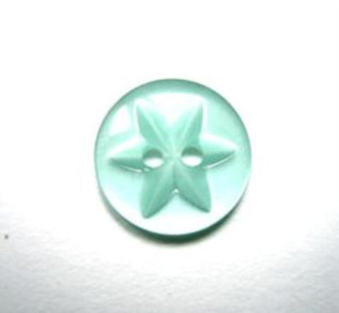 B11166 14mm Turquoise 2 Hole Polyester Star Button