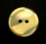 B13263 18mm Tonal Lemons Variegated Polyester 2 Hole Button - Ribbonmoon