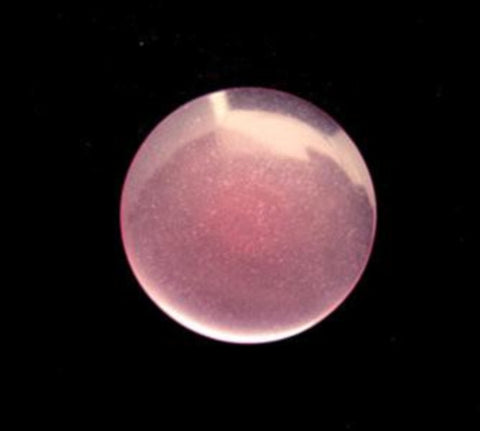 B14111 16mm Dark Rose Pink Polyester Shank Button - Ribbonmoon