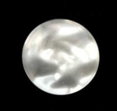 B6132 19mm Pearlised White Shimmery Shank Button - Ribbonmoon