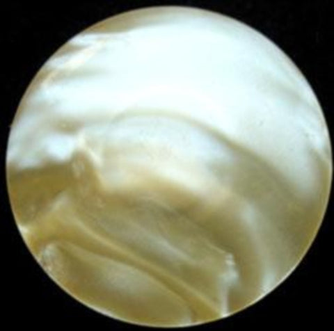 B12191 31mm Pale Lemon Tinted Shimmery Polyester Shank Button - Ribbonmoon