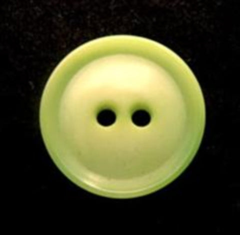 B8810 17mm Pale Meadow Green 2 Hole Button - Ribbonmoon