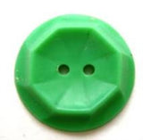 B6342 22mm Pale Parakeet Green Nylon 2 Hole Button - Ribbonmoon