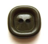 B7372 17mm Dusky Linden Green Chunky High Gloss 2 Hole Button - Ribbonmoon